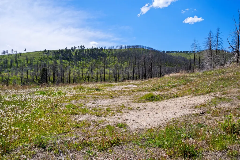2010 Us Highway 12 E Townsend MT 59644