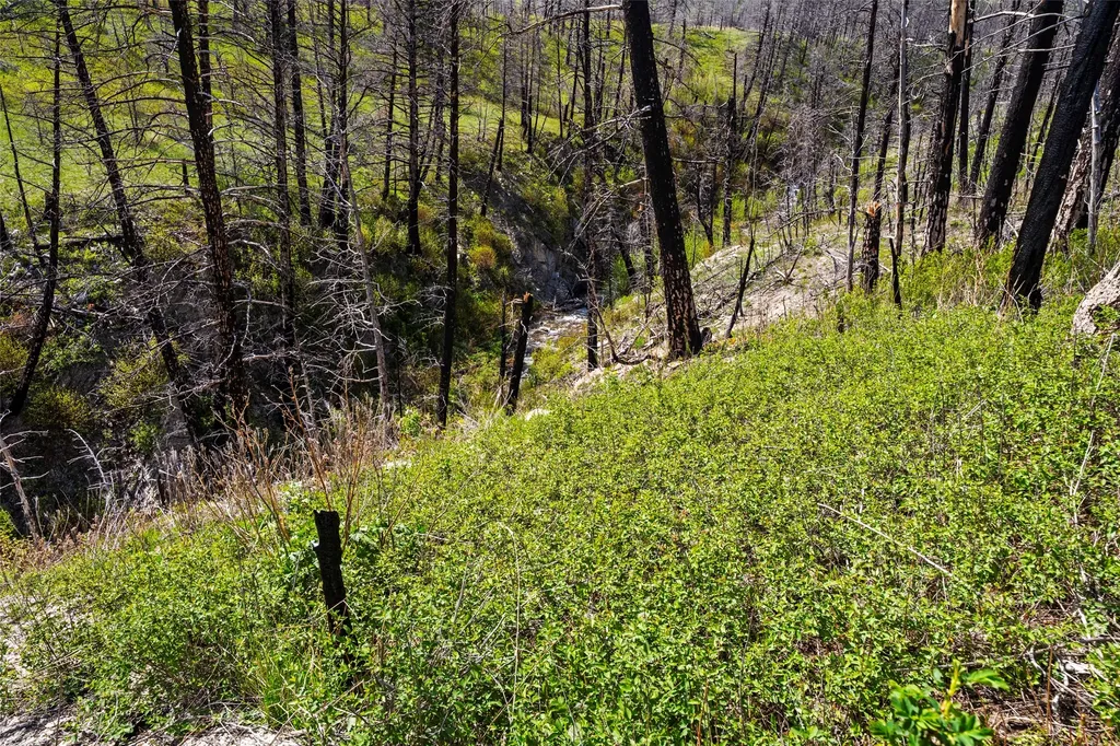 2010 Us Highway 12 E Townsend MT 59644