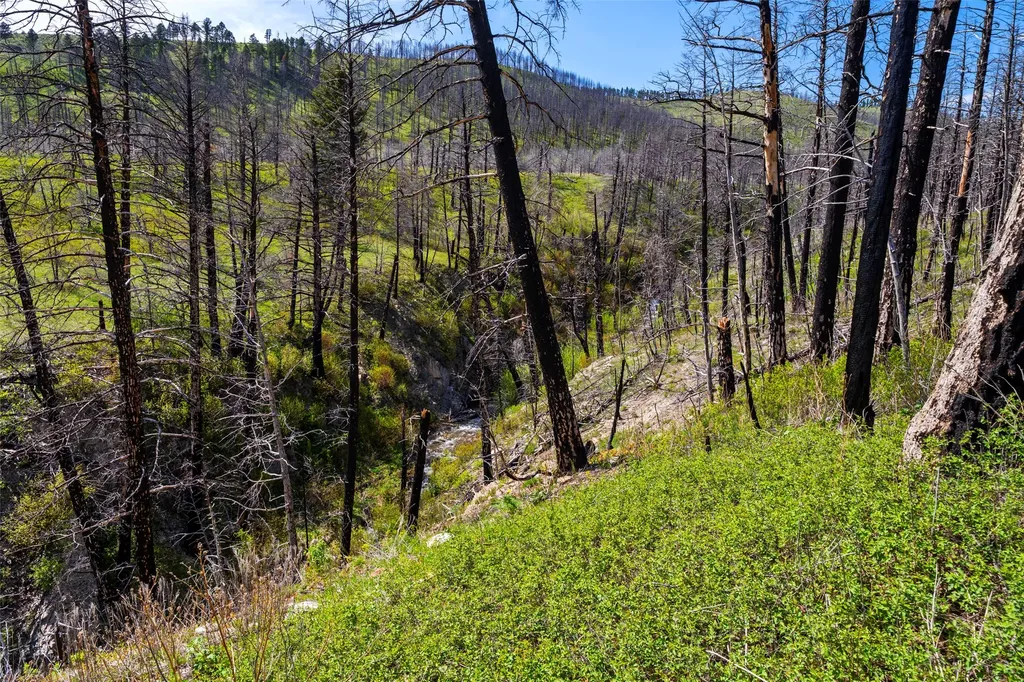 2010 Us Highway 12 E Townsend MT 59644
