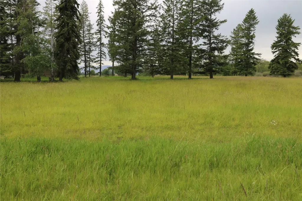 338 Hanging Rock Drive Bigfork MT 59911