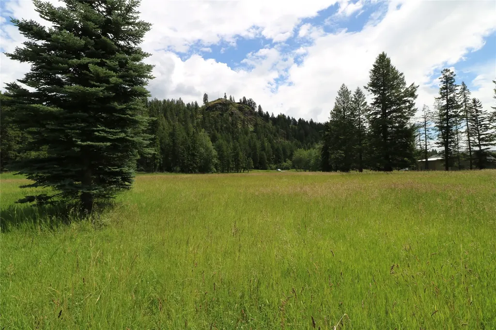 338 Hanging Rock Drive Bigfork MT 59911