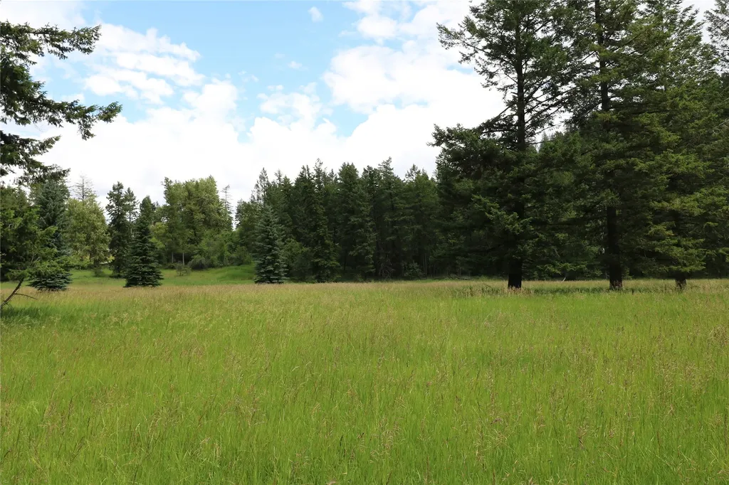 338 Hanging Rock Drive Bigfork MT 59911