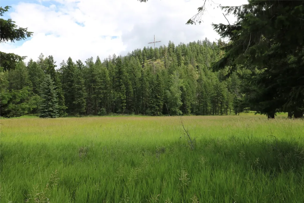338 Hanging Rock Drive Bigfork MT 59911