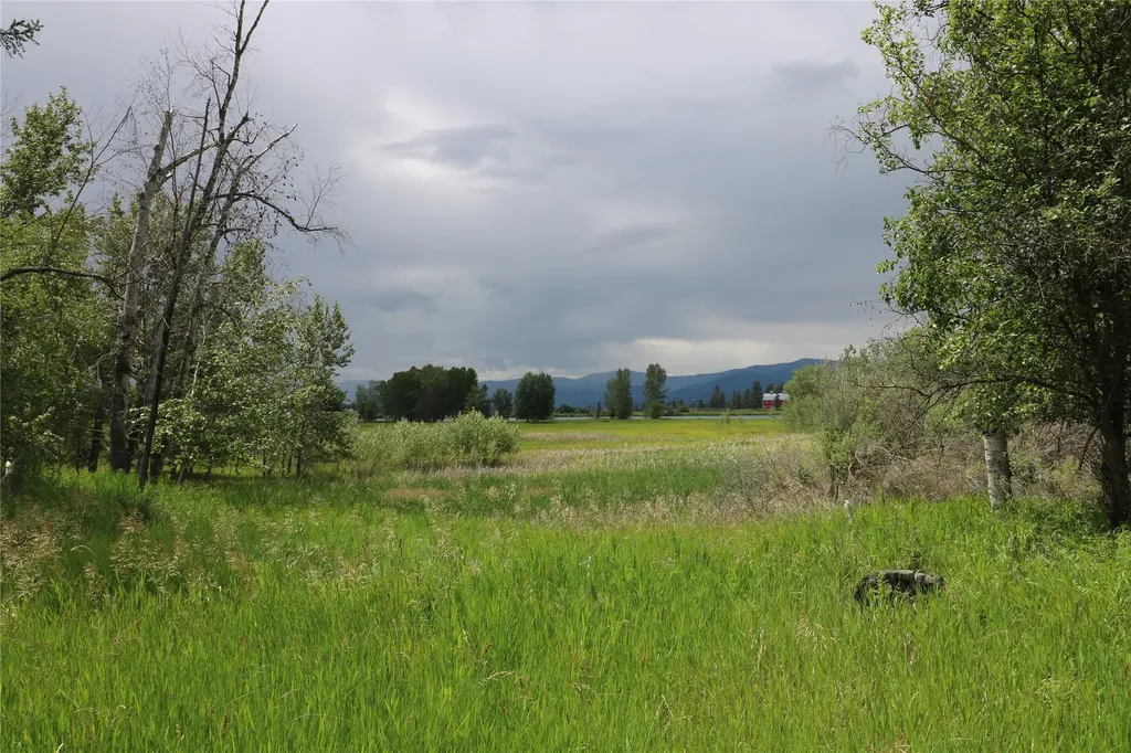 338 Hanging Rock Drive Bigfork MT 59911