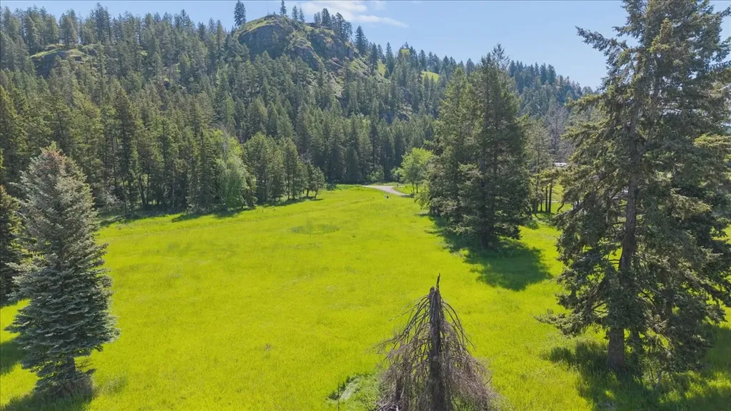 338 Hanging Rock Drive Bigfork MT 59911