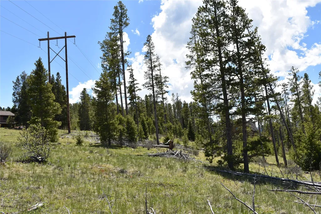 16 Mule Deer Lane Anaconda MT 59711