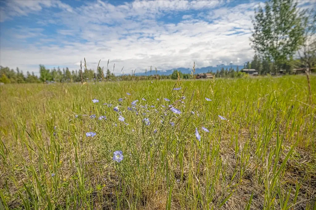 Lot 158 Wilderness Club Drive Eureka MT 59917