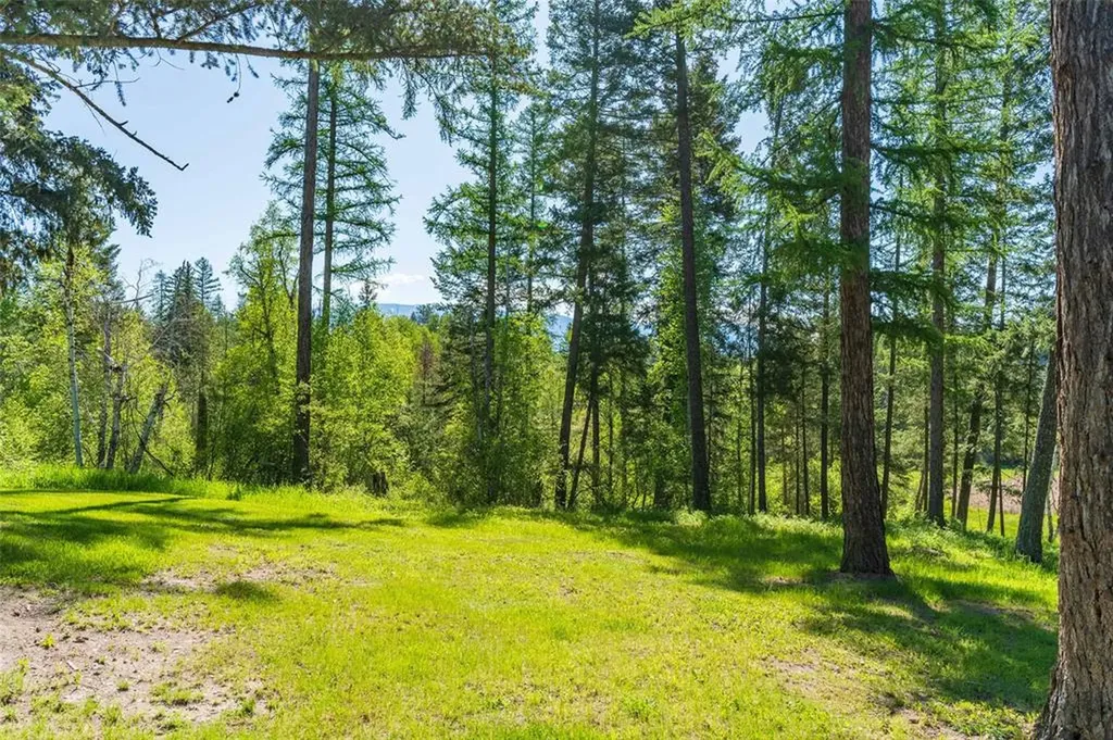 161 Hastings Trail Columbia Falls MT 59912