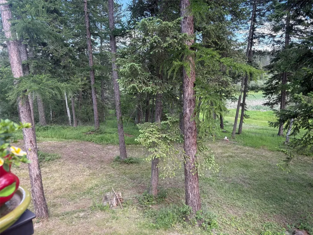 161 Hastings Trail Columbia Falls MT 59912
