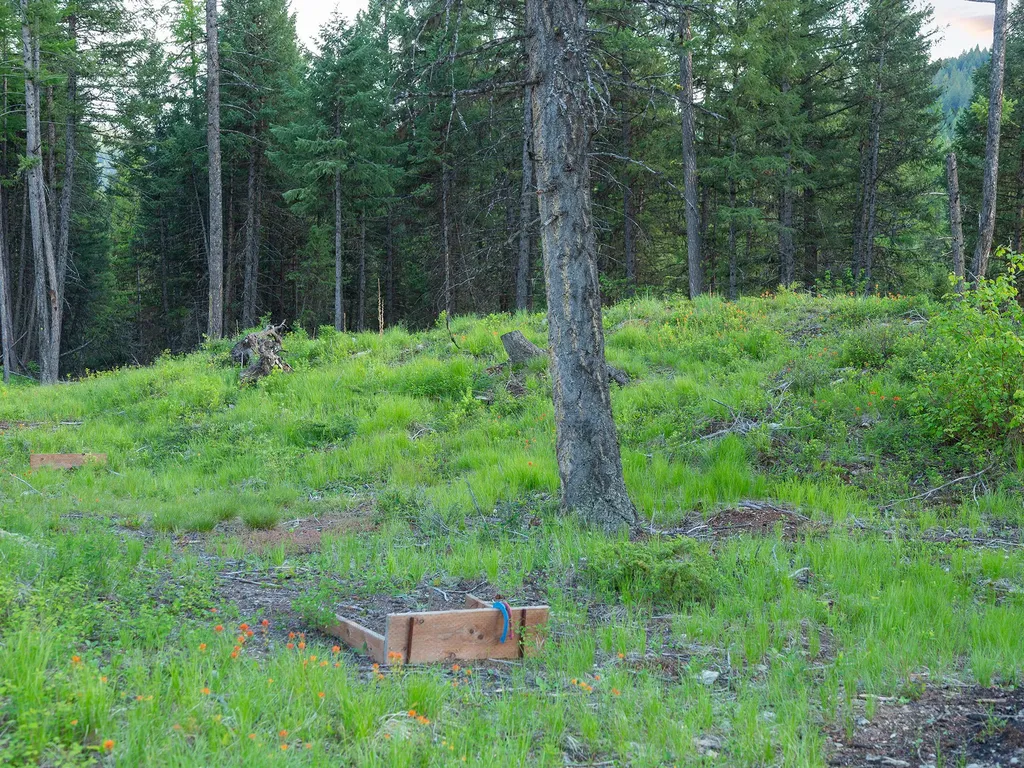 254 Chinook Lake Road Whitefish MT 59937