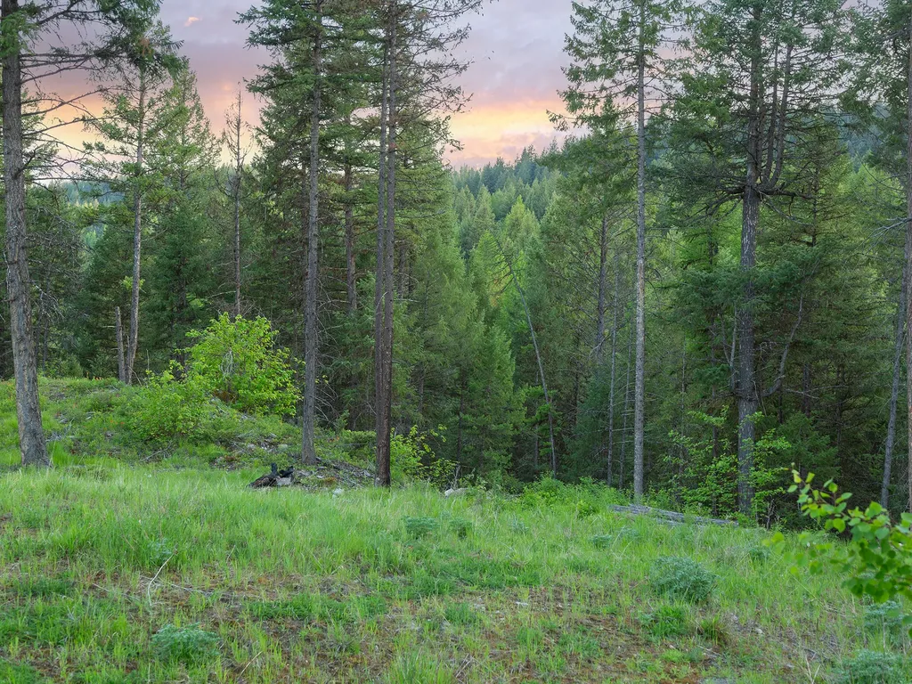 254 Chinook Lake Road Whitefish MT 59937