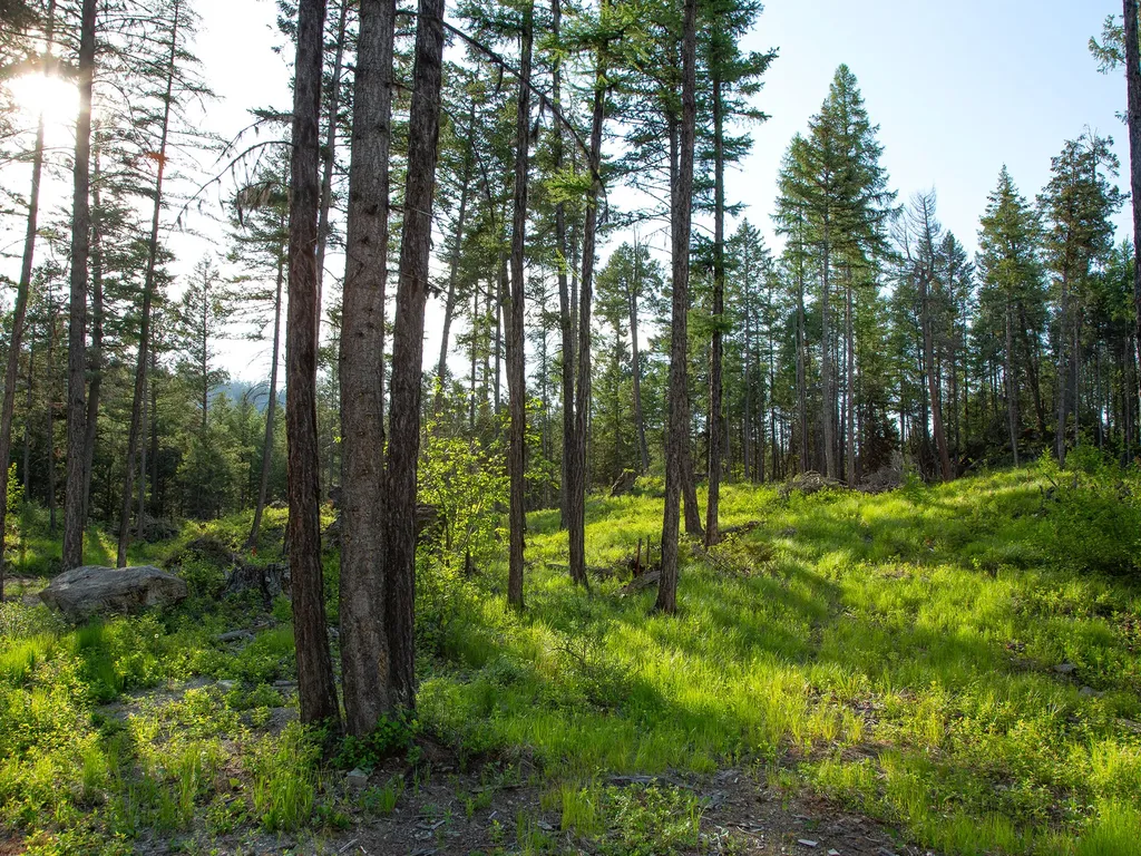 254 Chinook Lake Road Whitefish MT 59937