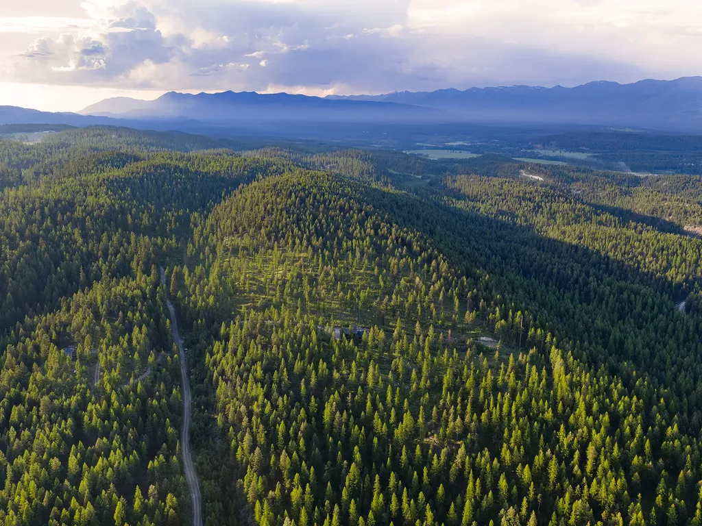 254 Chinook Lake Road Whitefish MT 59937