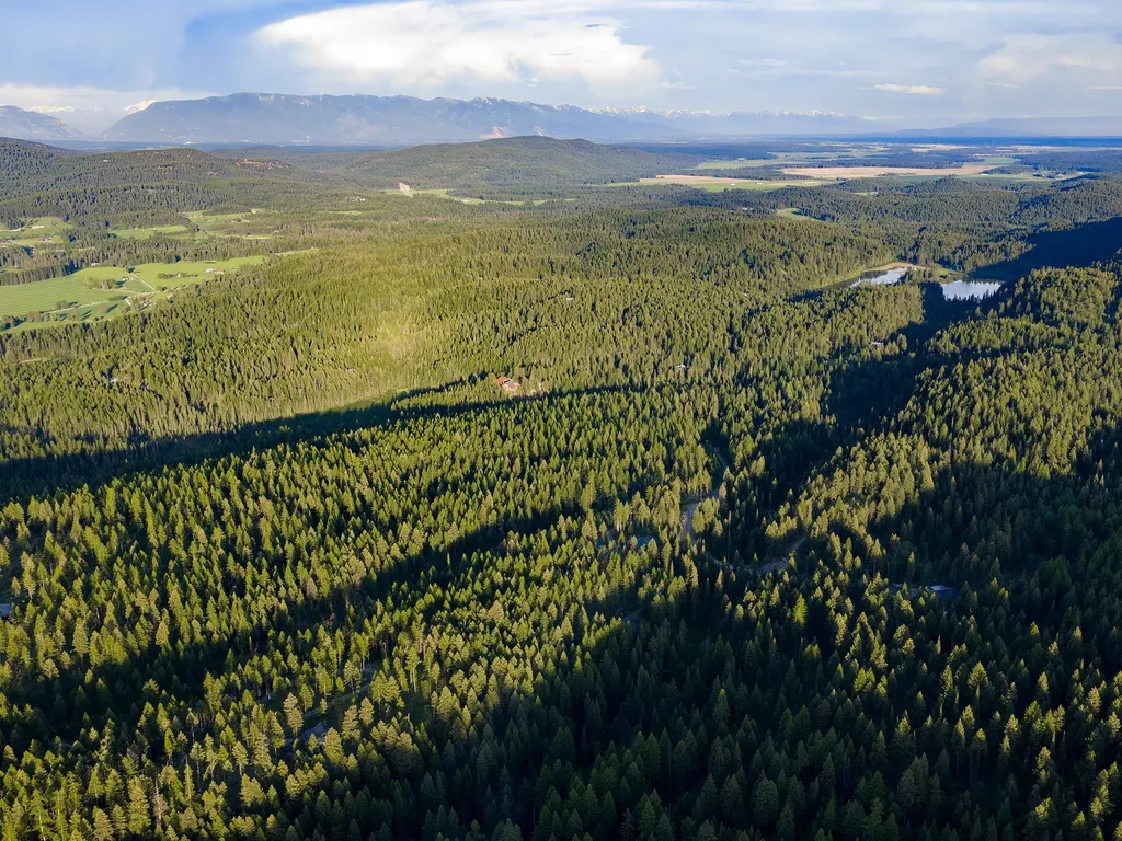 254 Chinook Lake Road Whitefish MT 59937
