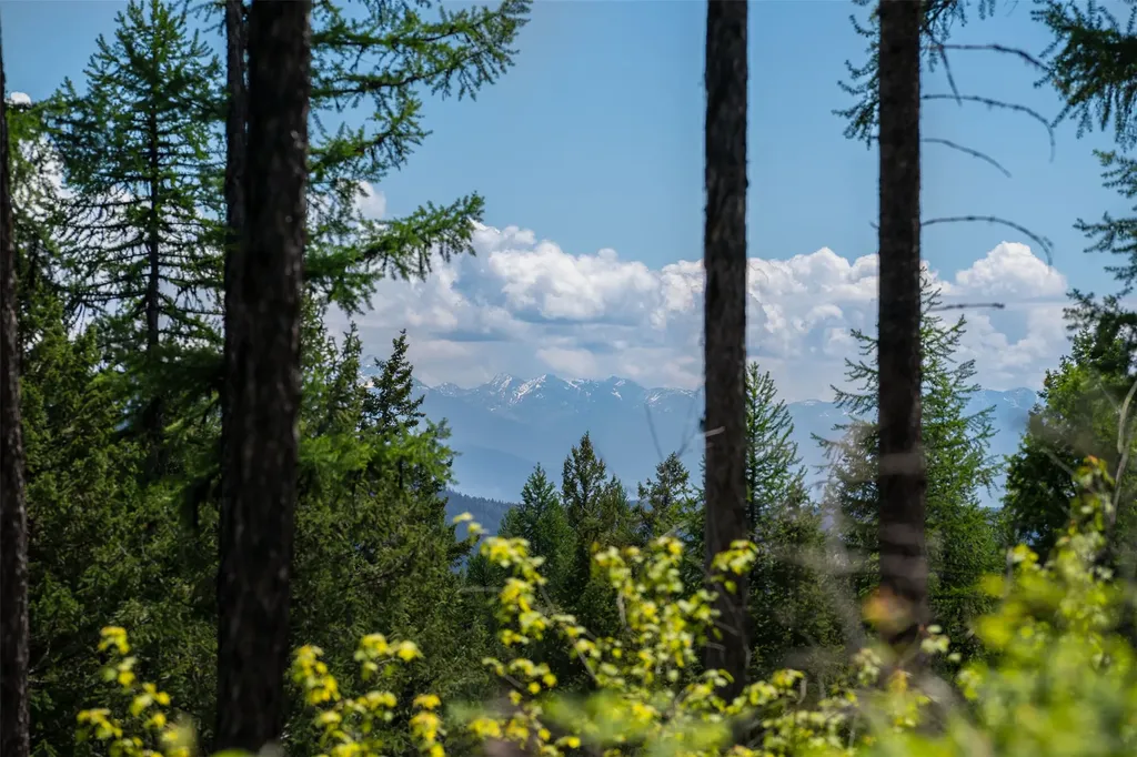 254 Chinook Lake Road Whitefish MT 59937