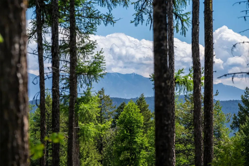 254 Chinook Lake Road Whitefish MT 59937