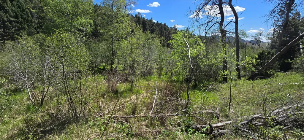 Tbd Powerline Road Boulder MT 59632