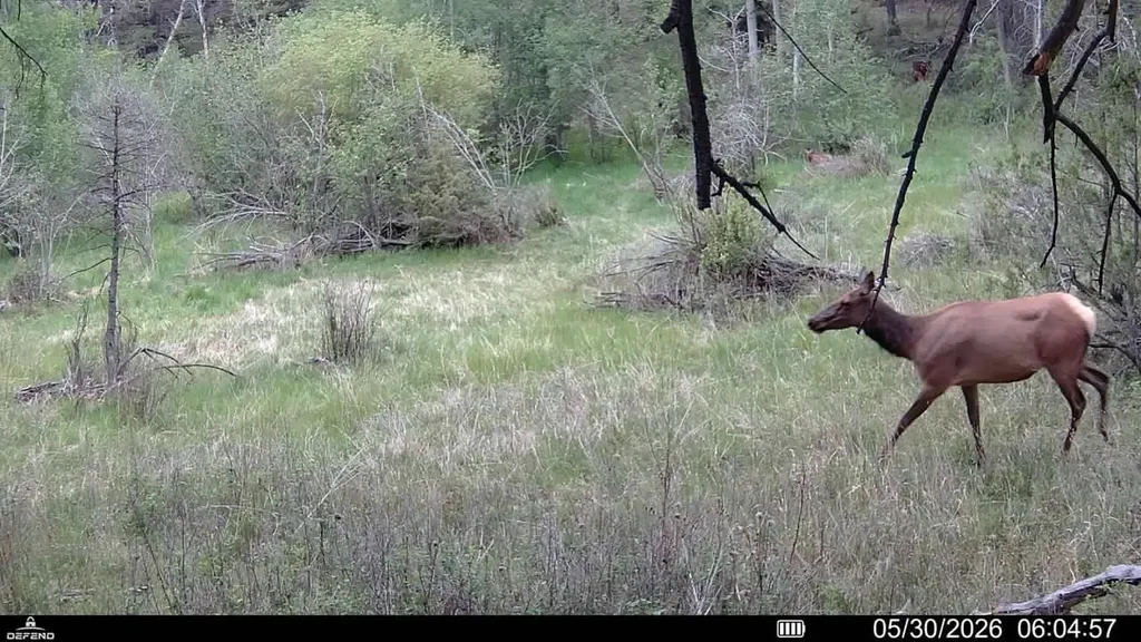 Tbd Powerline Road Boulder MT 59632