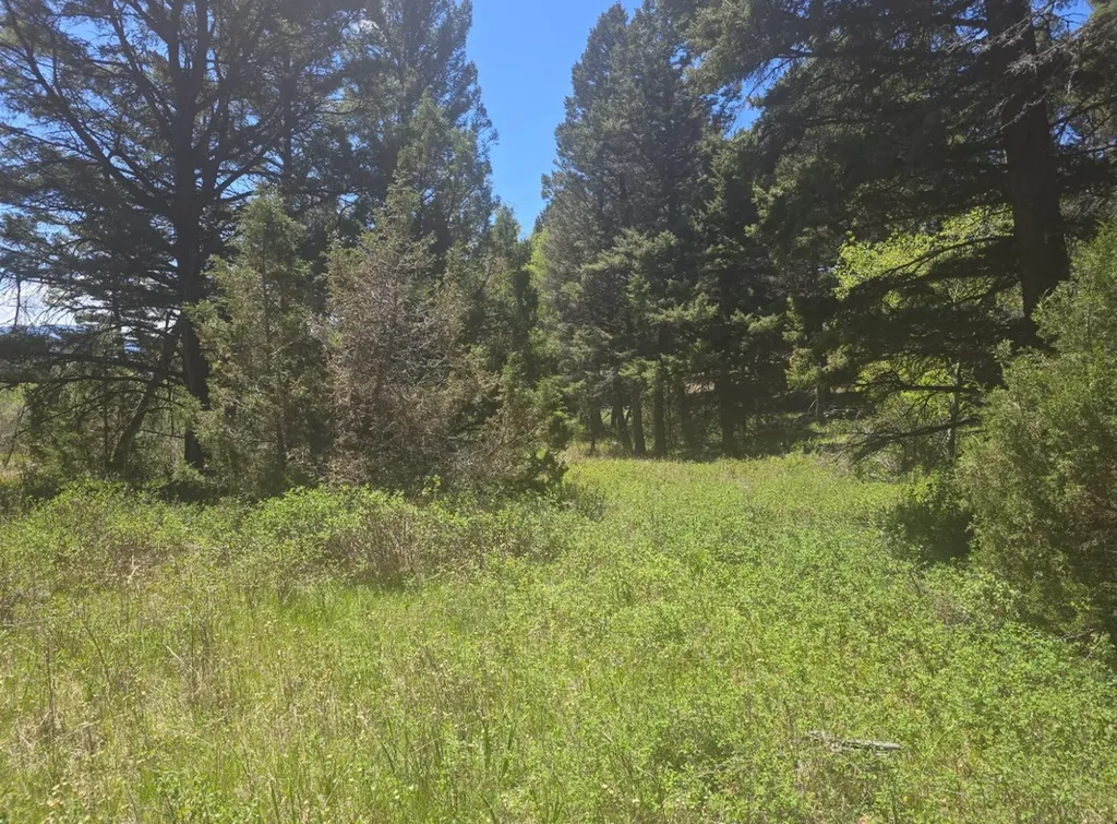 Tbd Powerline Boulder MT 59632