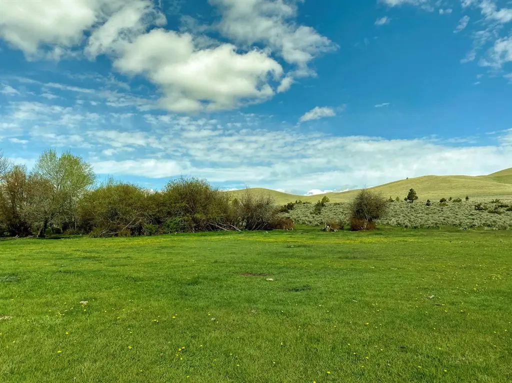 8950 Chevallier Drive Helena MT 59602