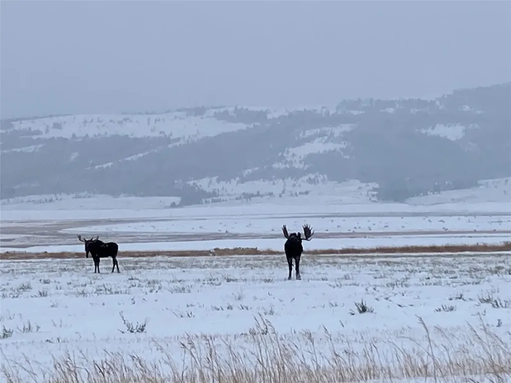 8950 Chevallier Drive Helena MT 59602