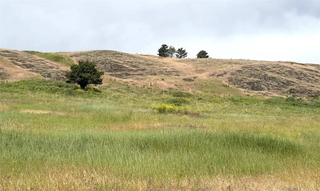 Homesite 25 Stone Horse Drive Polson MT 59860