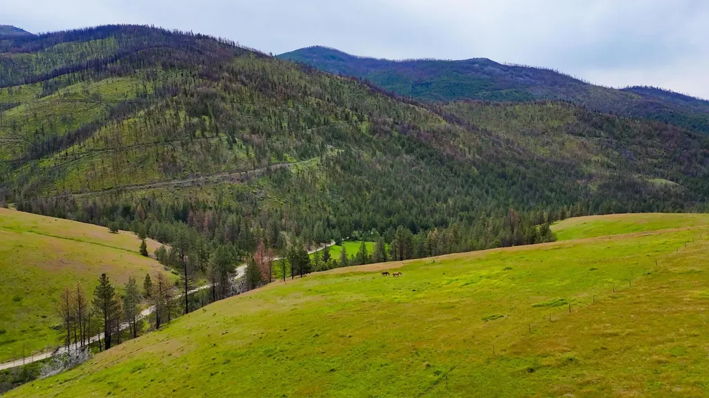 407 Mclaughlin Creek Road Paradise MT 59856