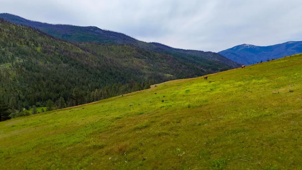 407 Mclaughlin Creek Road Paradise MT 59856