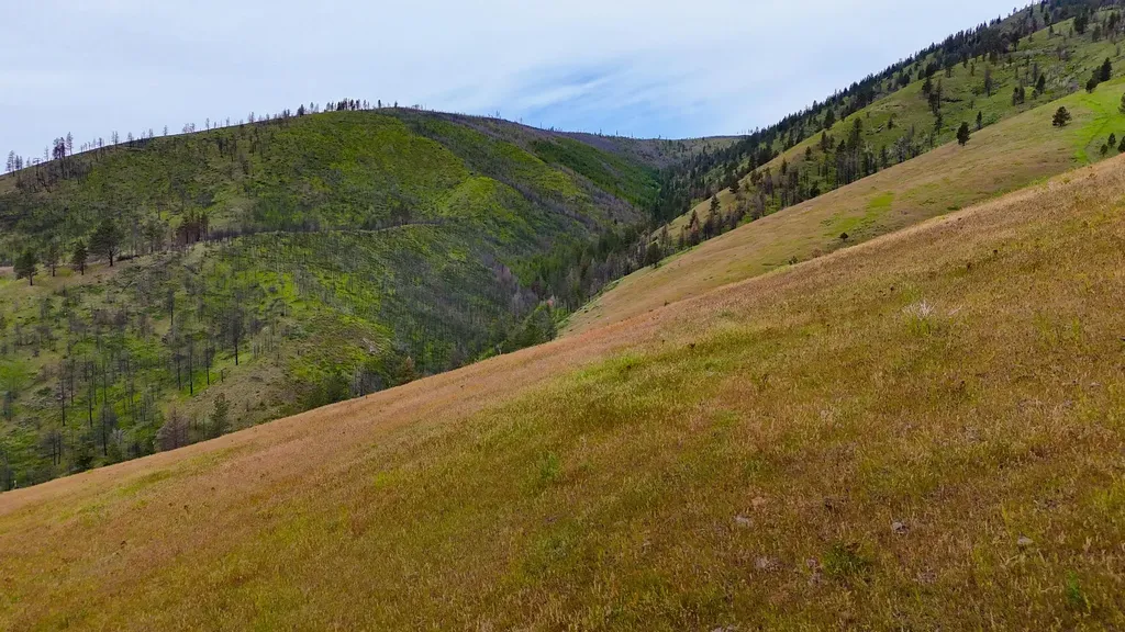 407 Mclaughlin Creek Road Paradise MT 59856