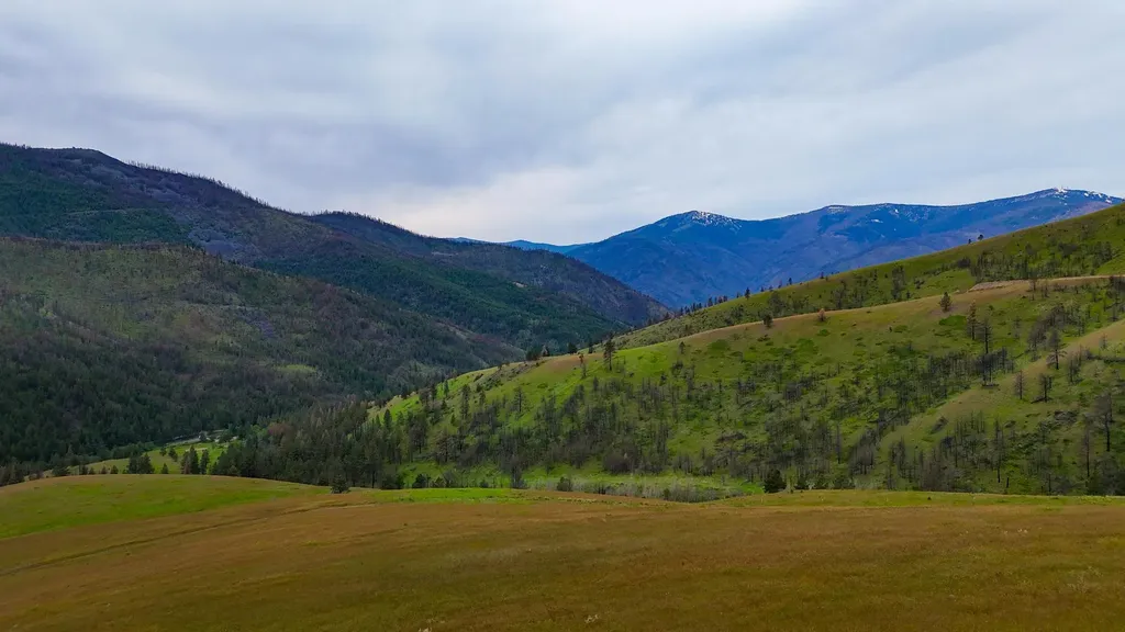 407 Mclaughlin Creek Road Paradise MT 59856