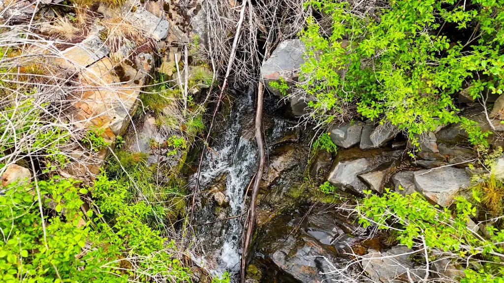 407 Mclaughlin Creek Road Paradise MT 59856
