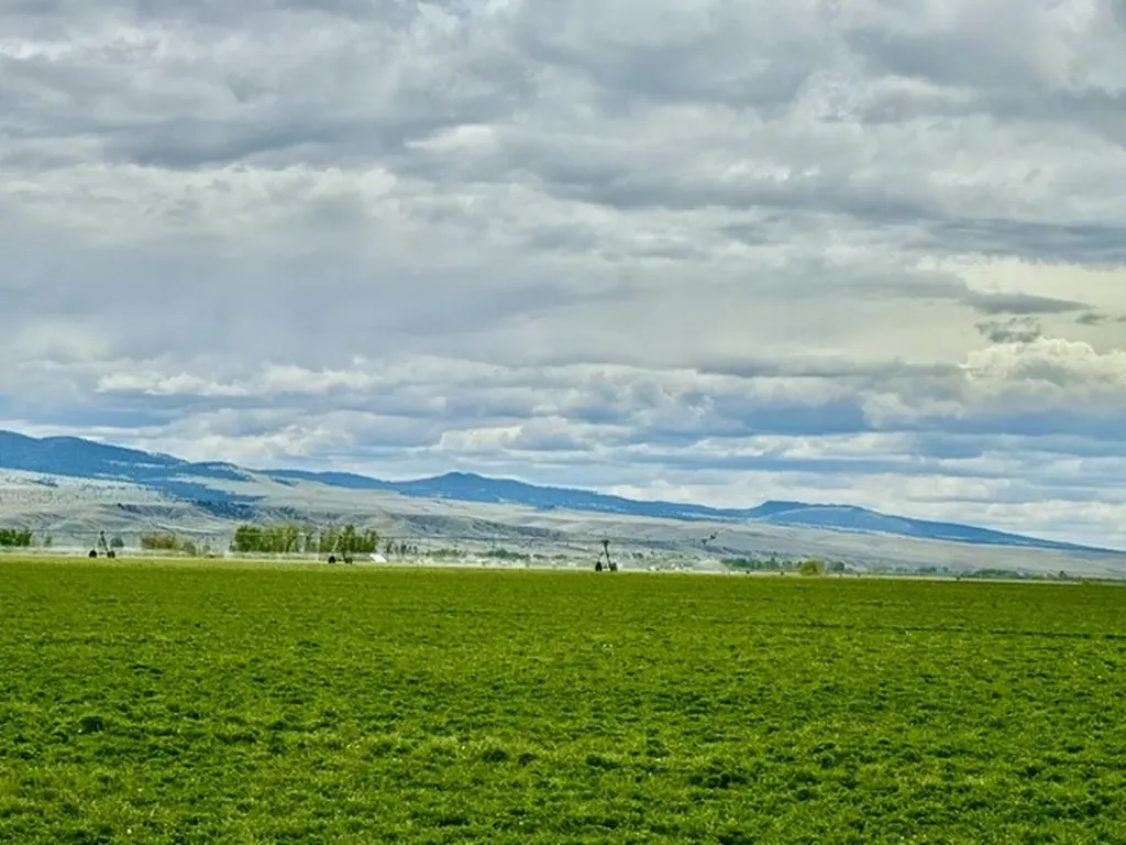 Nhn Sager Lane W Deer Lodge MT 59722