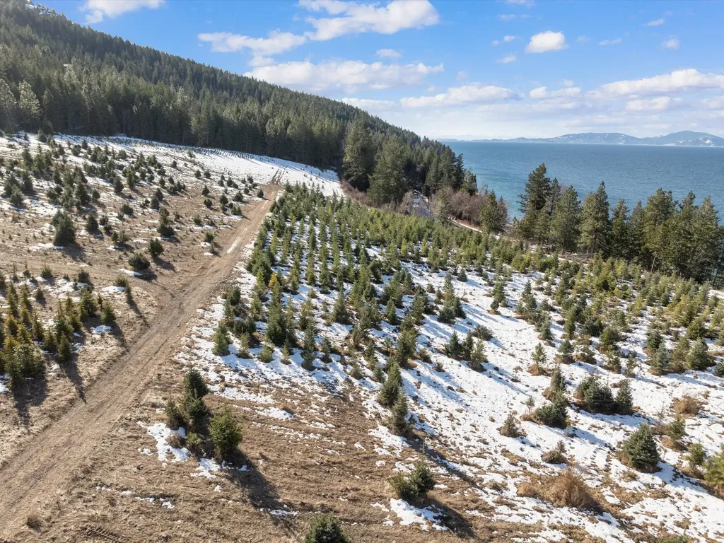Nhn Sunset Heights Drive Bigfork MT 59911
