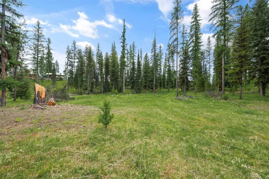 355 Tanager Trail Condon MT 59826