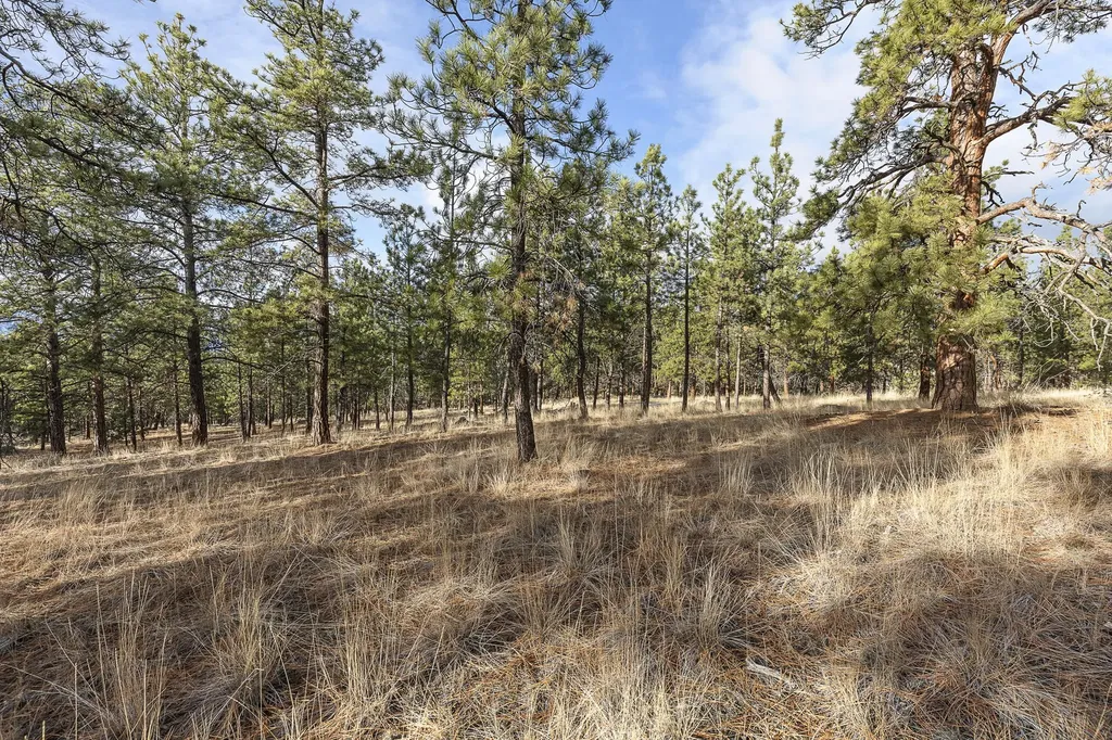 778 Lord Byron Trail Hamilton MT 59840