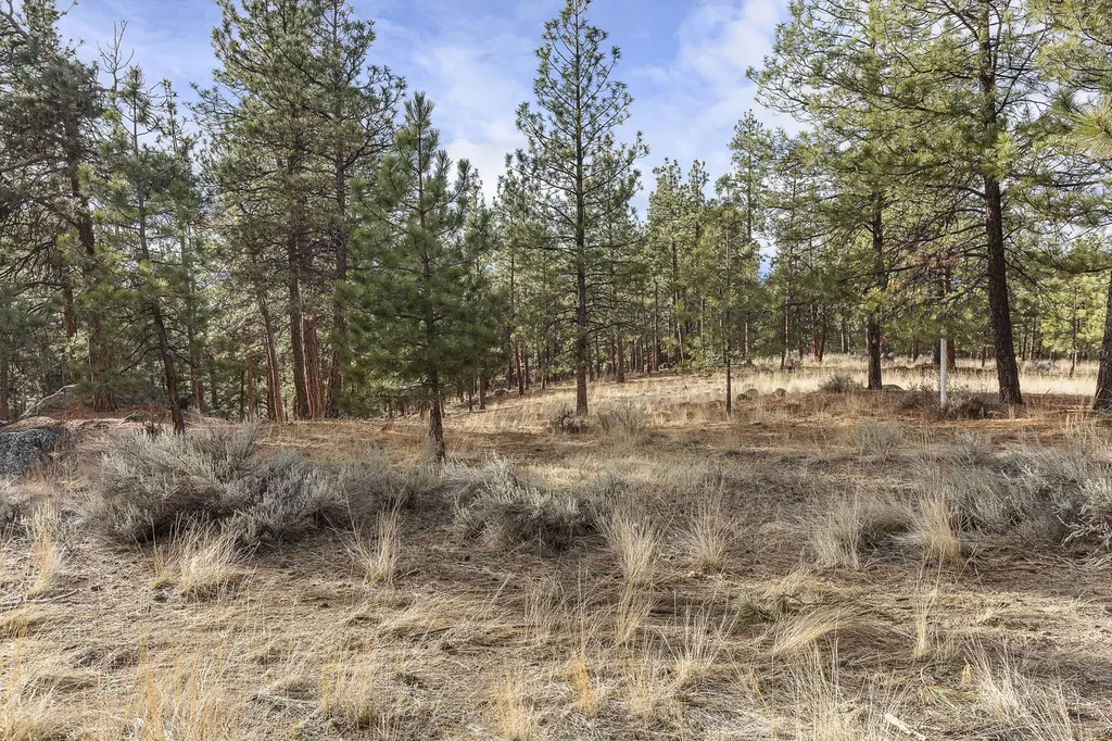778 Lord Byron Trail Hamilton MT 59840