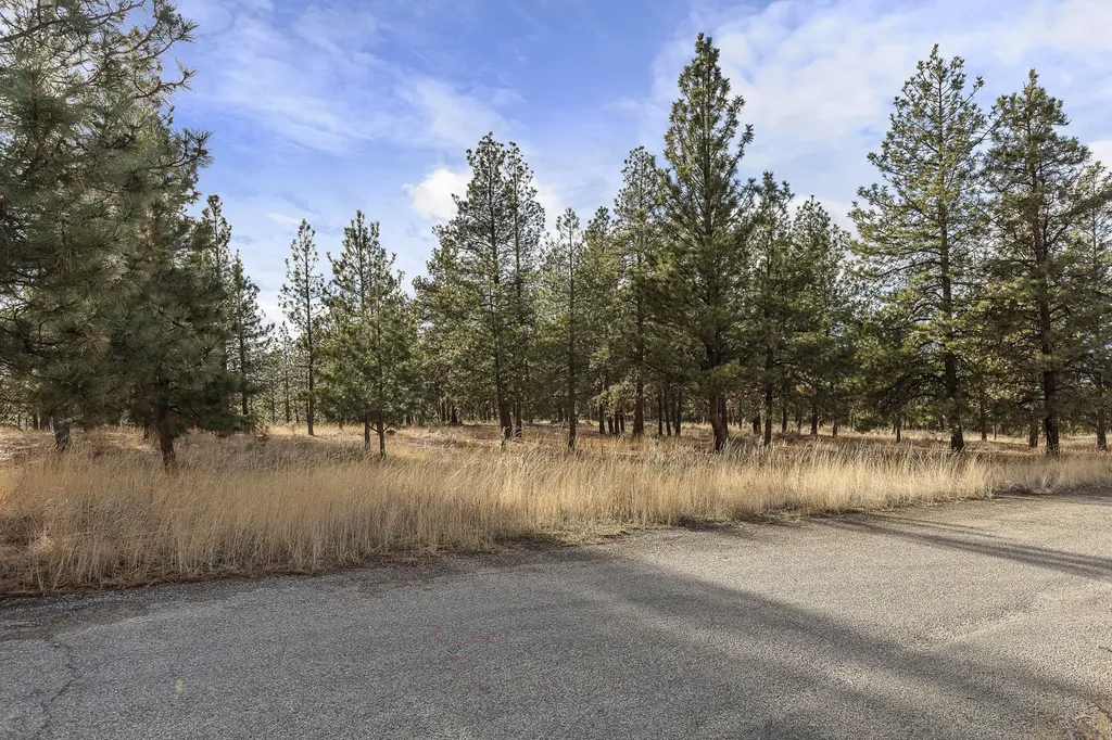 778 Lord Byron Trail Hamilton MT 59840