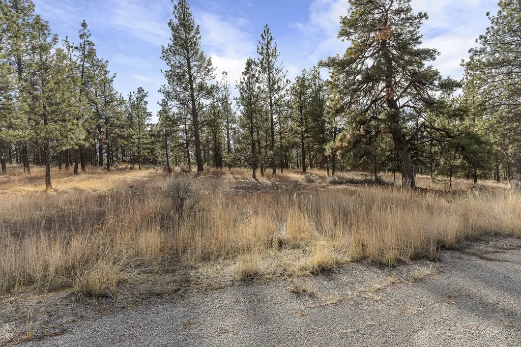 778 Lord Byron Trail Hamilton MT 59840