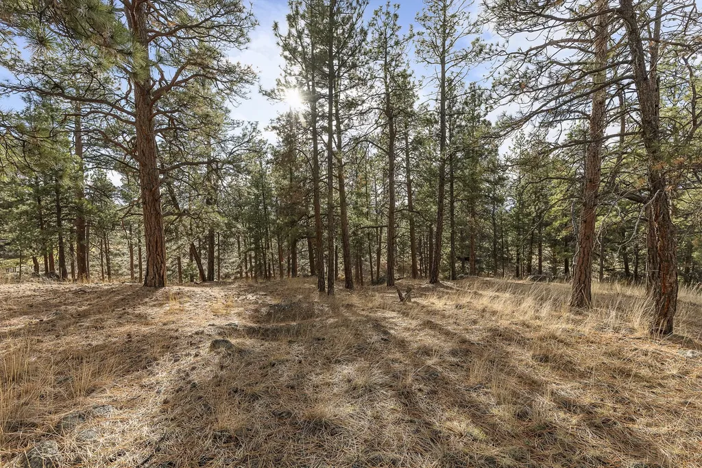 778 Lord Byron Trail Hamilton MT 59840