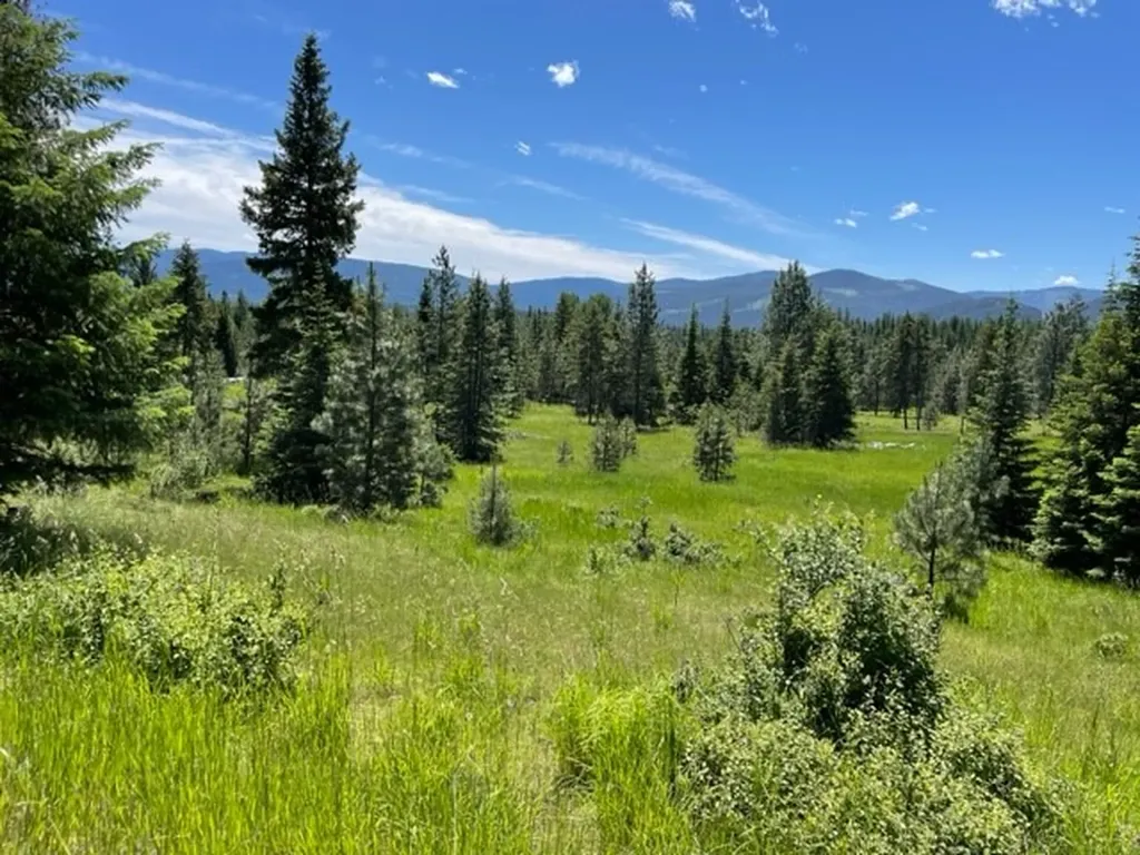 No Address Green Mountain Road Trout Creek MT 59874