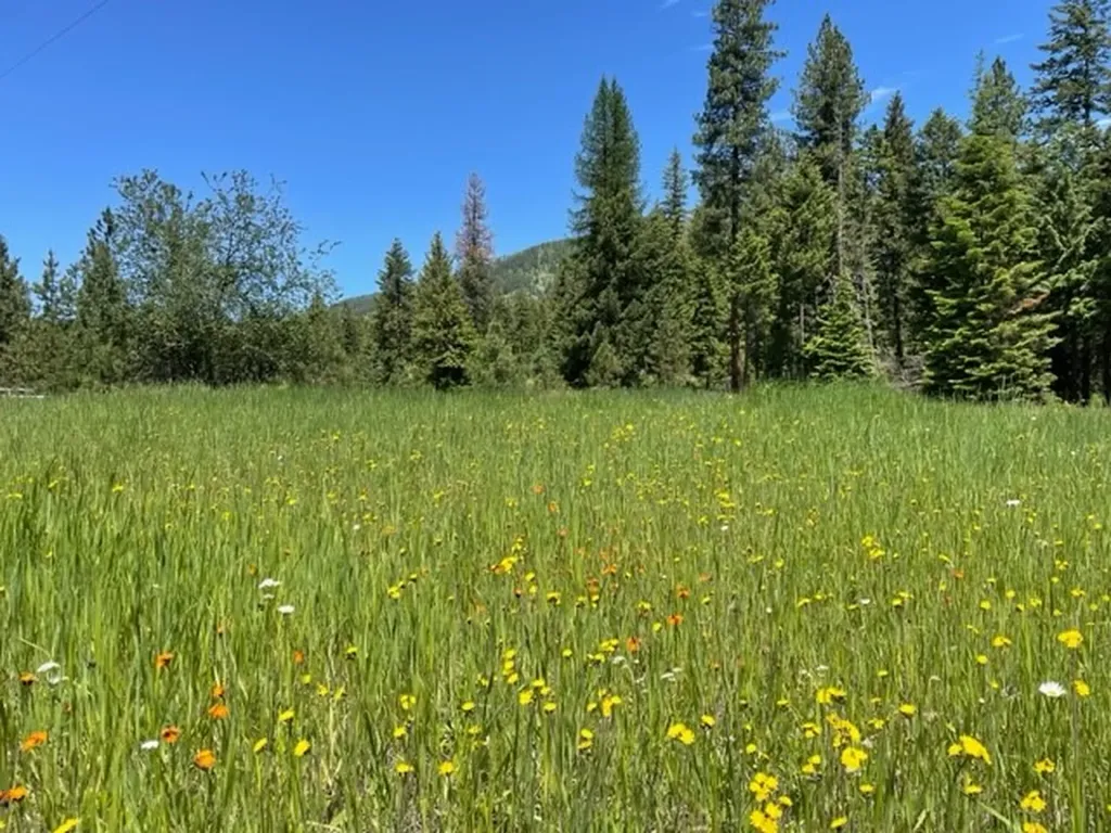 No Address Green Mountain Road Trout Creek MT 59874