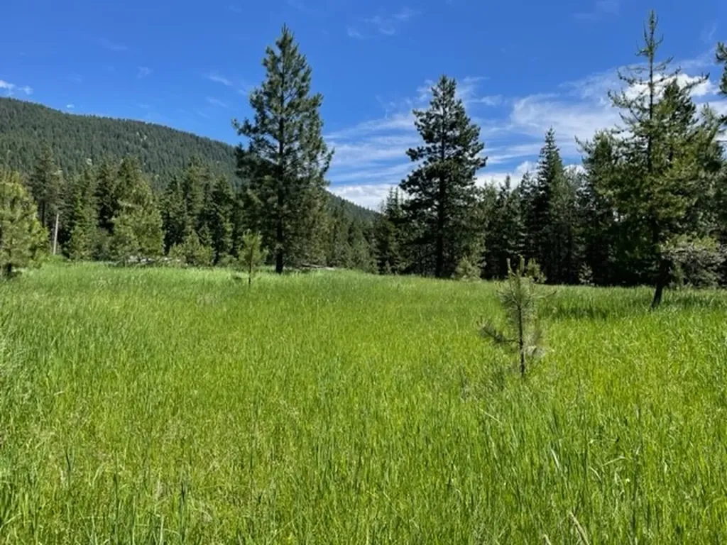 No Address Green Mountain Road Trout Creek MT 59874