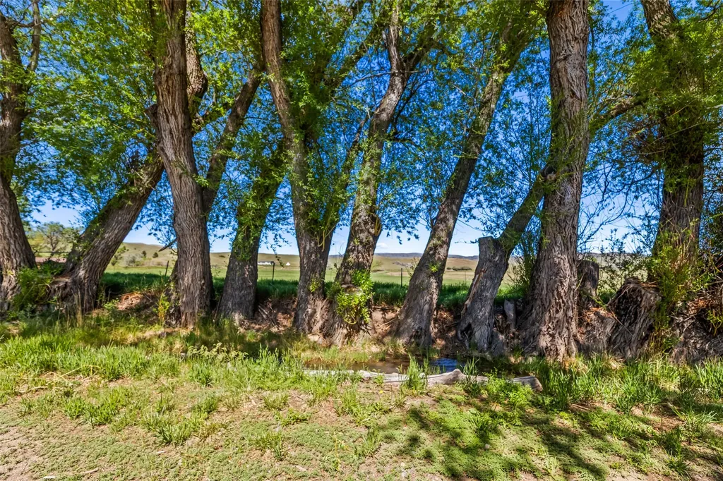 1301 Absaroka Court Livingston MT 59047