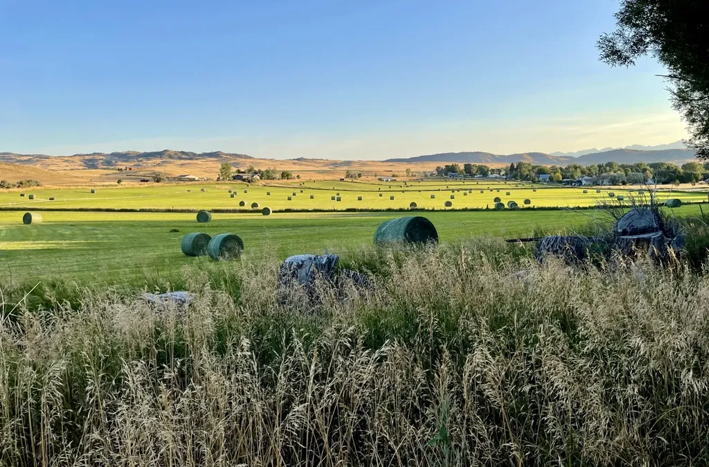 1301 Absaroka Court Livingston MT 59047