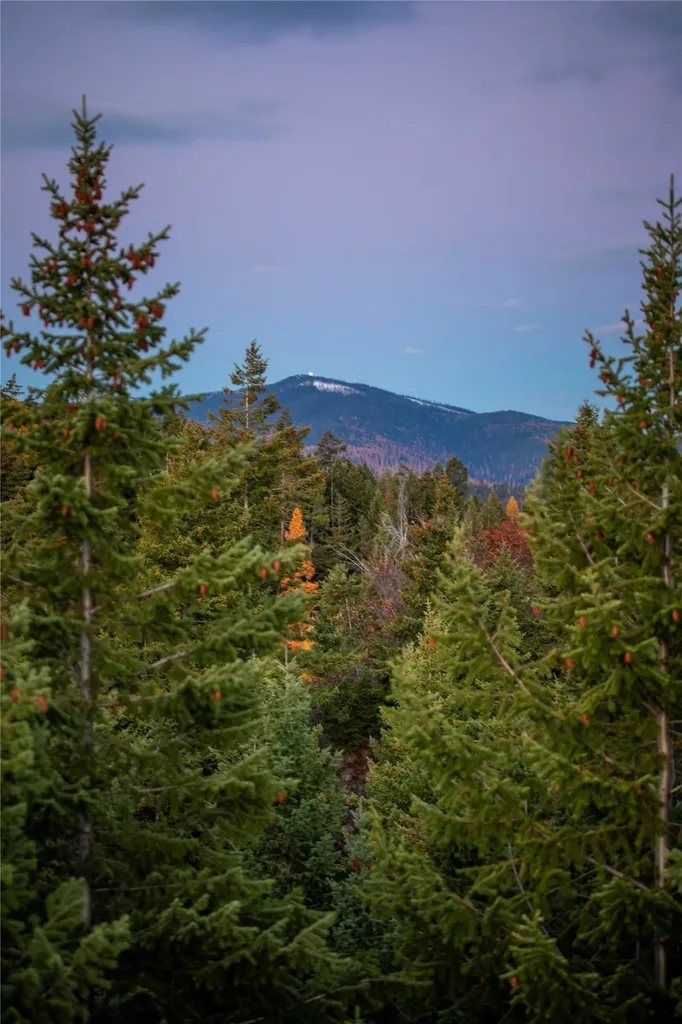 351, 367 Ridge Line Drive Lakeside MT 59922