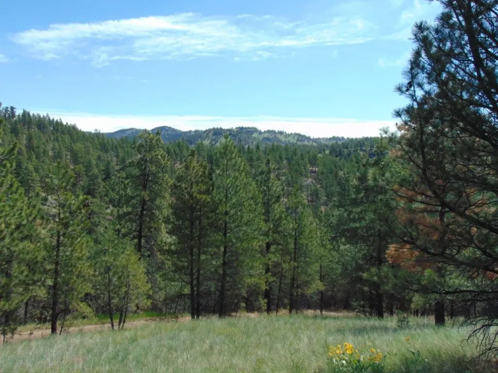 19 Lookout Lane Cascade MT 59421