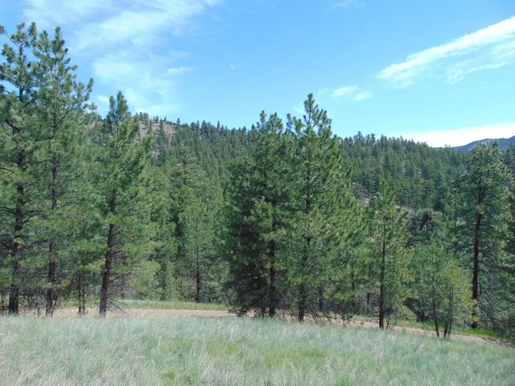 19 Lookout Lane Cascade MT 59421
