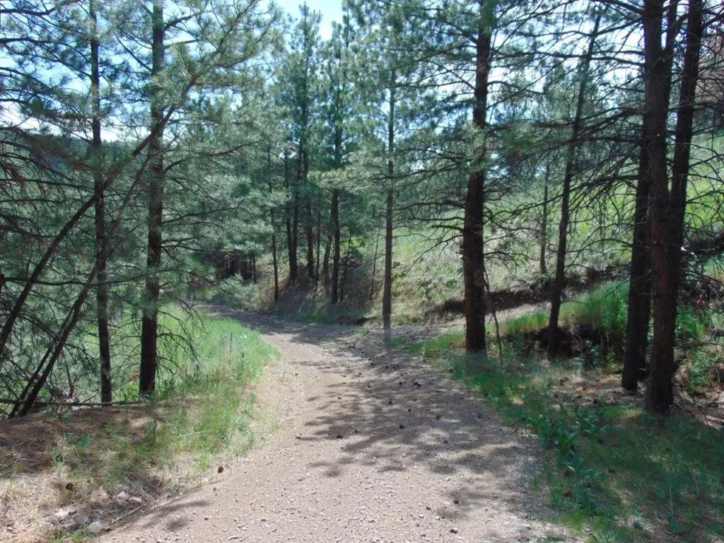 19 Lookout Lane Cascade MT 59421