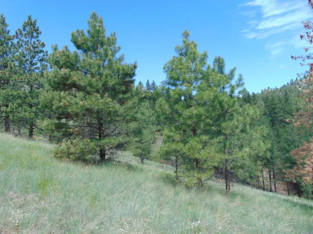 19 Lookout Lane Cascade MT 59421