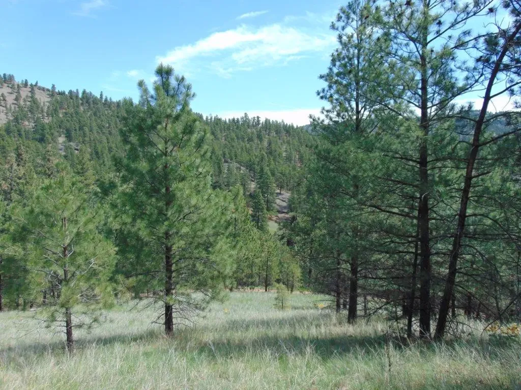 19 Lookout Lane Cascade MT 59421